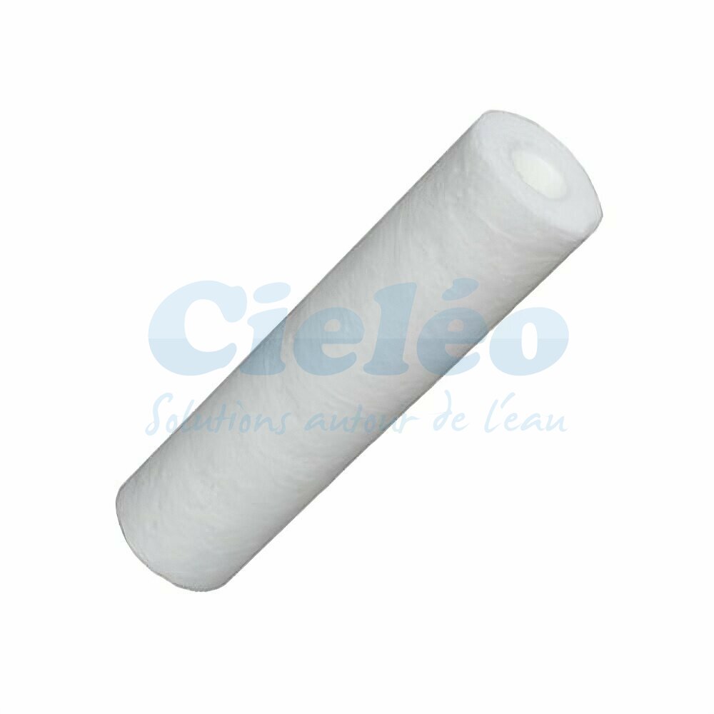 Cartouche s&eacute;diment 50 &micro;m Spun standard 9"3/4