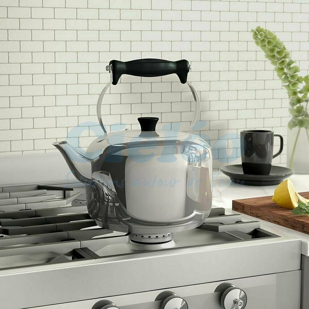 REFLEX RACING – RX409 – Billes En Céramique D’oxyde De Zirconium 10pcs