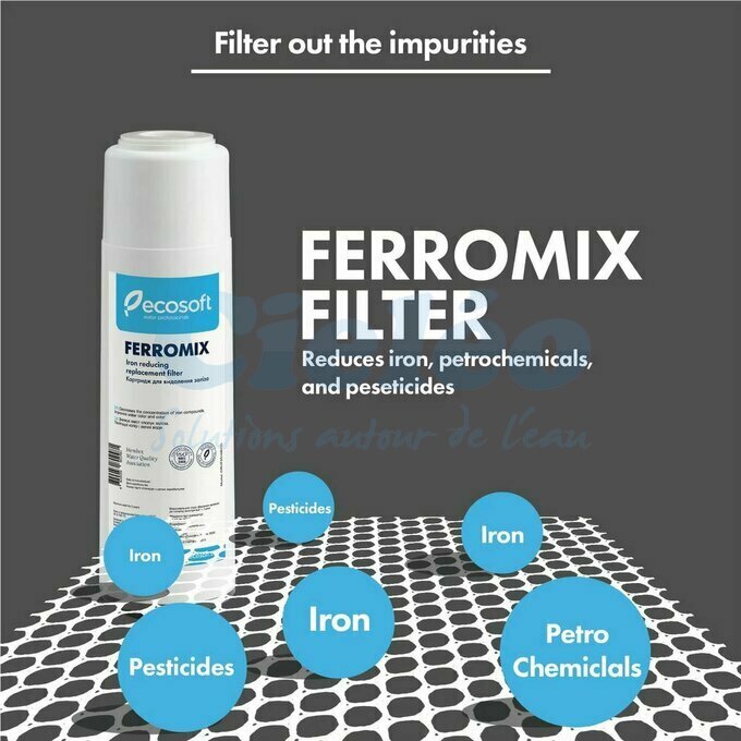 Actions de la cartouche Ecosoft Ferromix