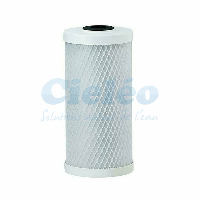 Cartouche charbon actif bloc APC 5 m Big Blue 10"