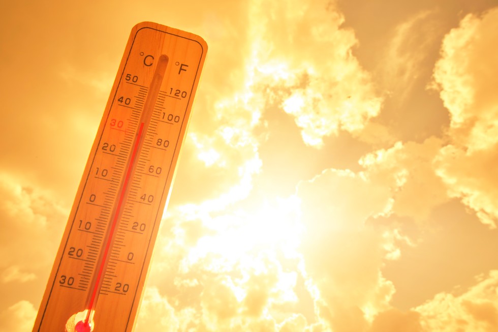 Canicule : comment se rafraîchir efficacement sans gaspiller l’eau ?