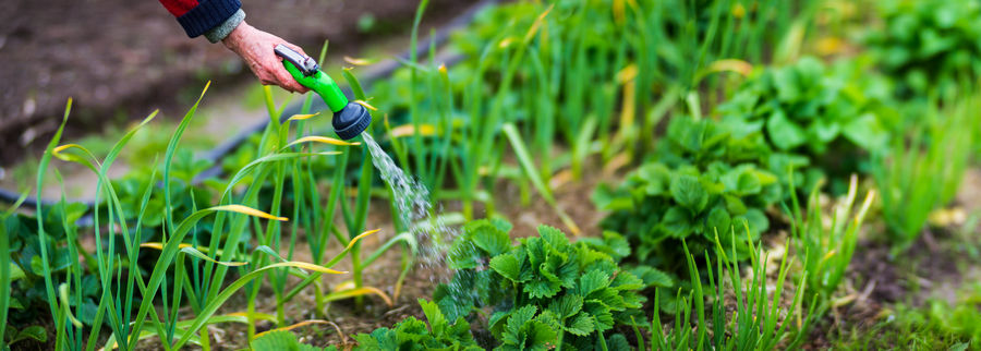 Economies au jardin : pensez au compteur vert