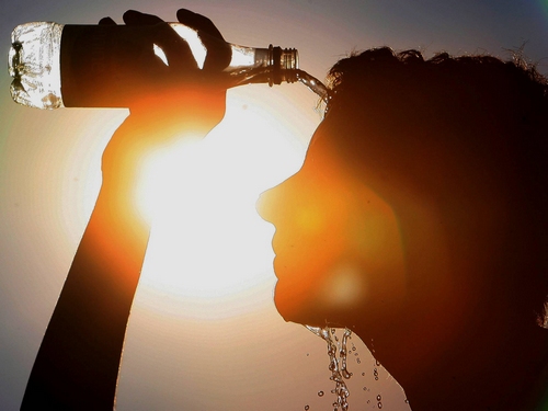 Réaliser des économies d'eau en période de canicule