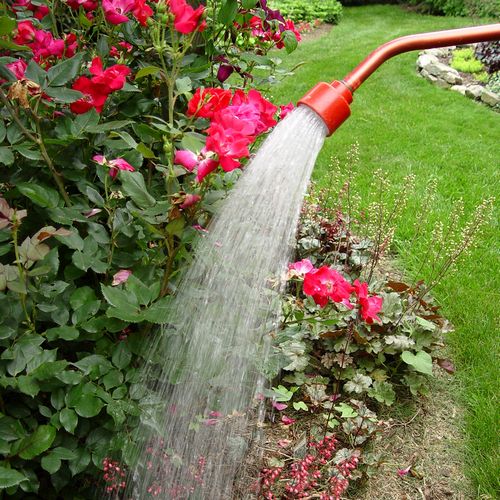 Récupération eau de pluie municipalité : Mairie de Caudebec les Elbeuf